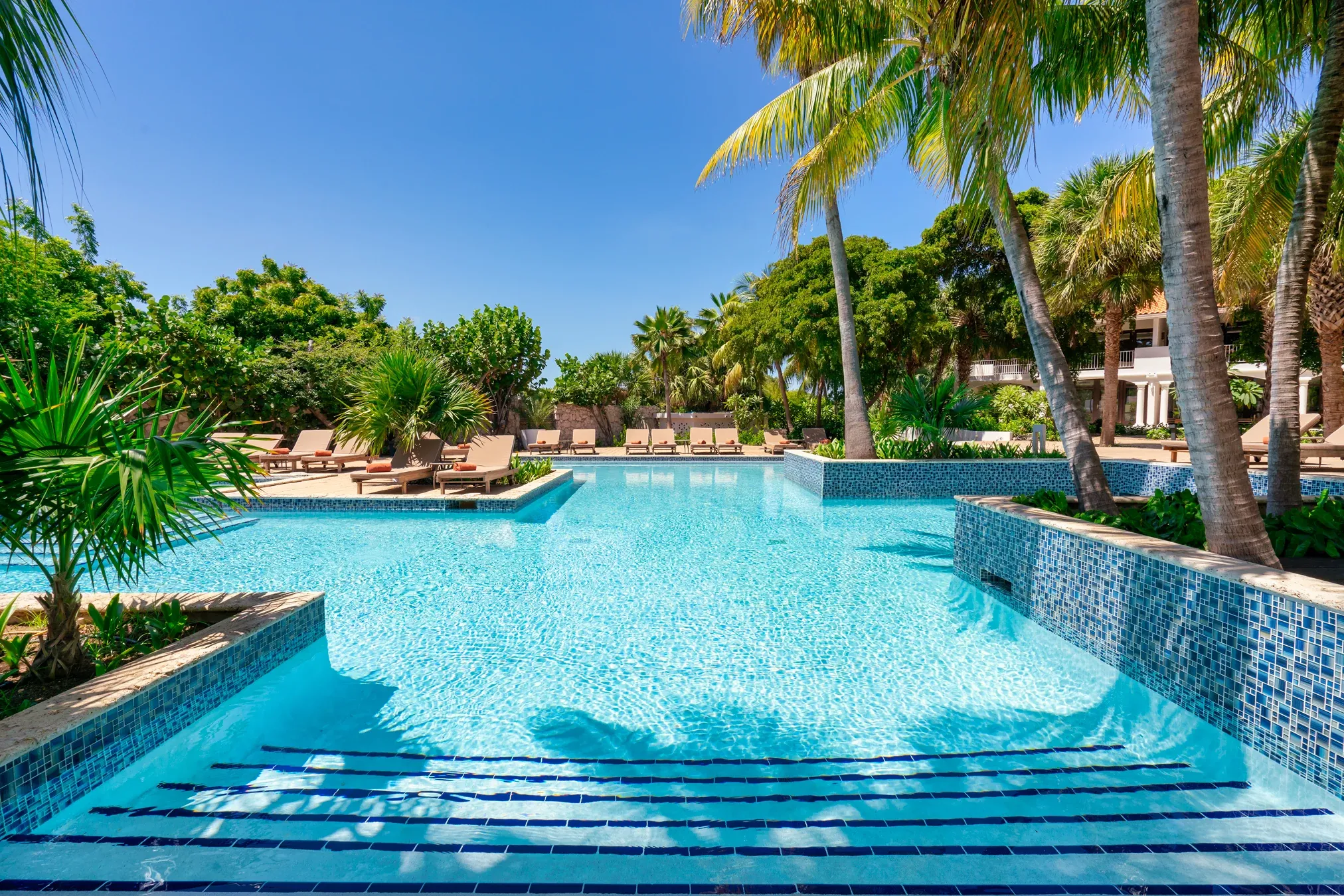 Crystal-clear swimming pool with entry steps surrounded by lush greenery at Zoëtry Curaçao Resort & Spa.