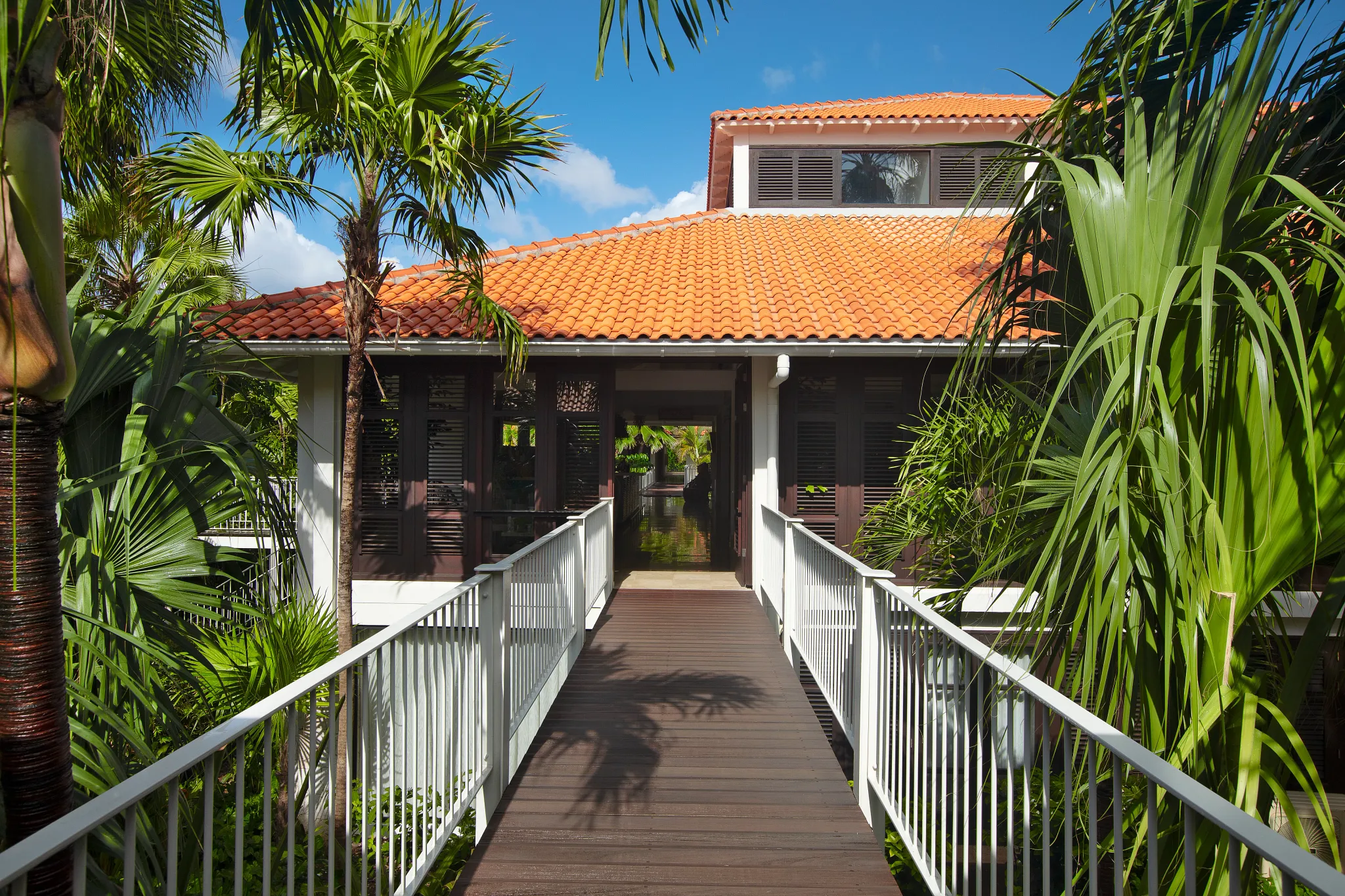 Wooden bridge leading to the tropical entrance of Zoëtry Curaçao Resort & Spa surrounded by lush palm trees.